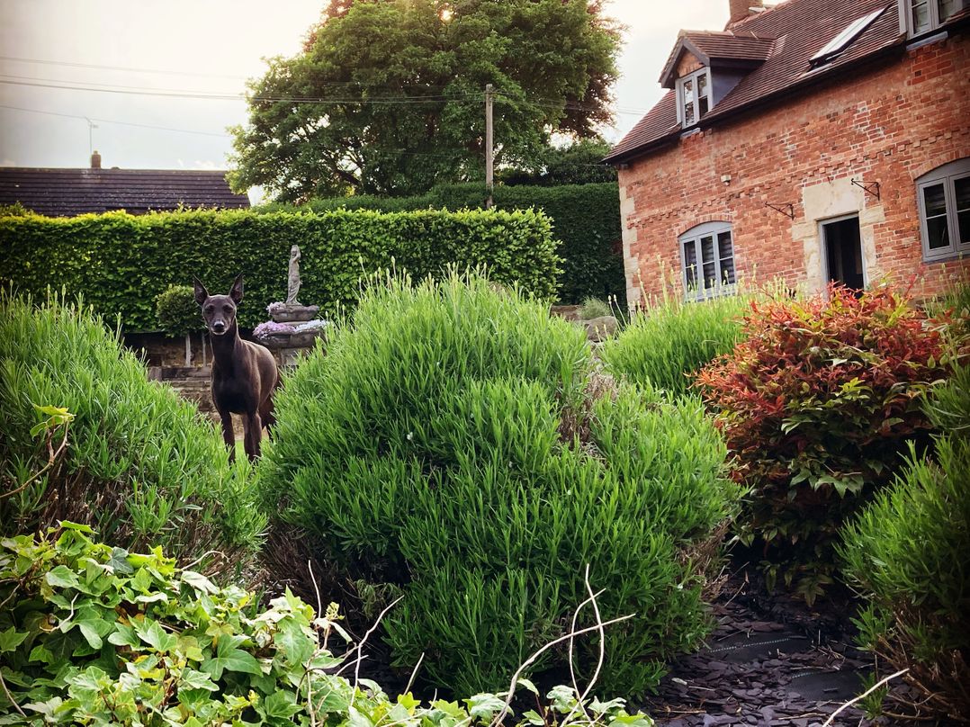 New Elms Farmhouse