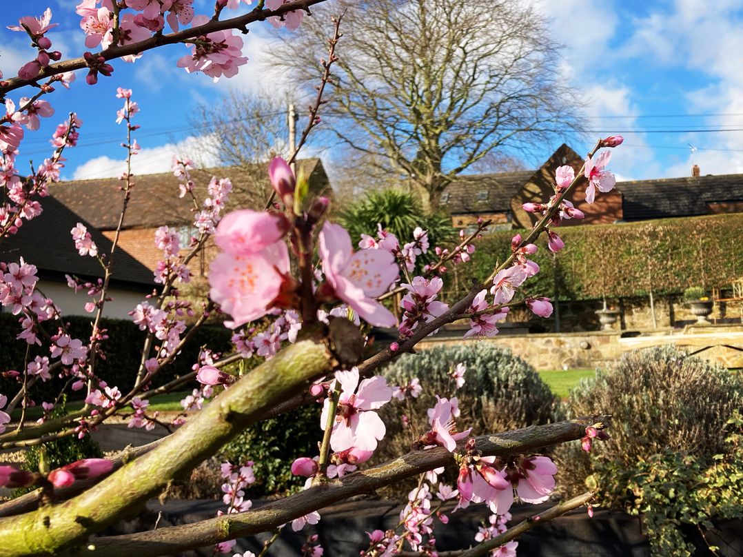 New Elms Farmhouse