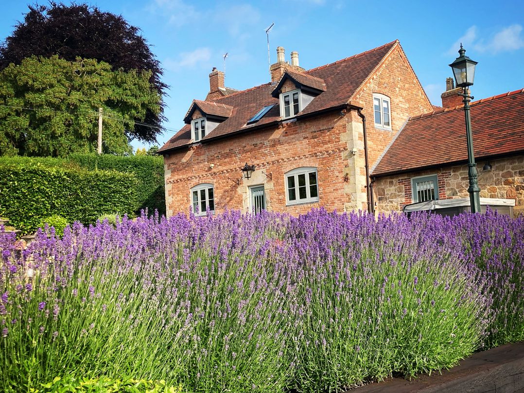 New Elms Farmhouse
