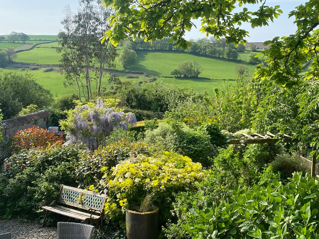 Magnolia View