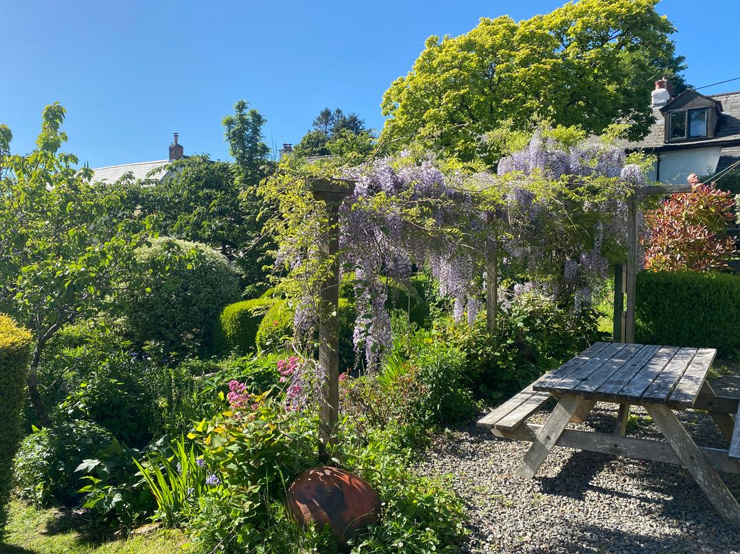 Magnolia View