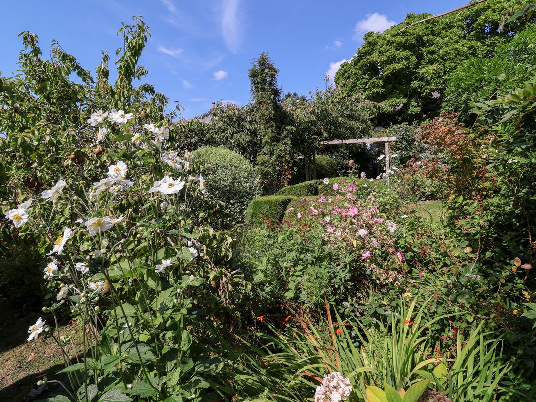Magnolia View