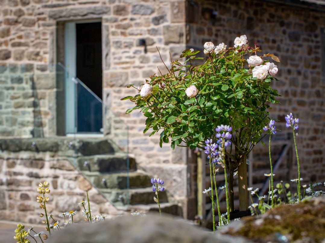 The Barn at Amelia's Kitchen
