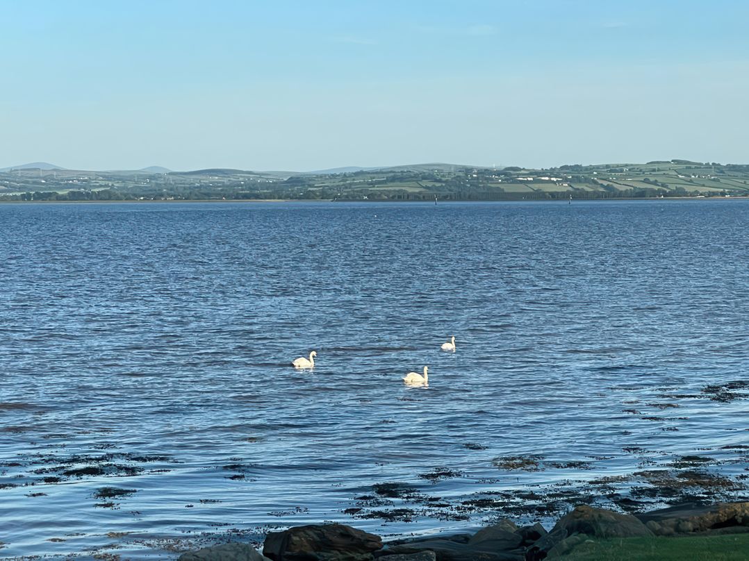 River View Cottage
