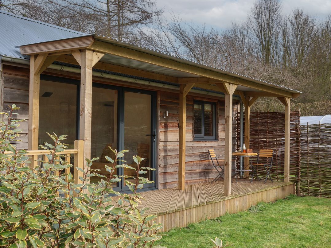 Beech Tree Cabin