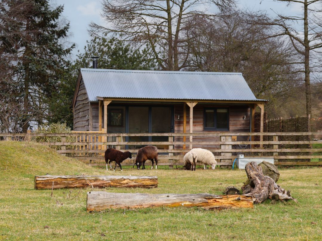 Beech Tree Cabin