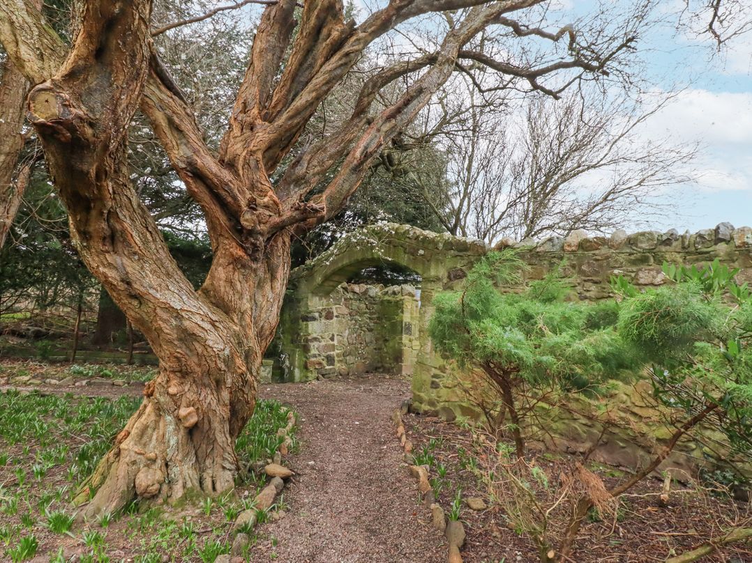 Cheviot Manor