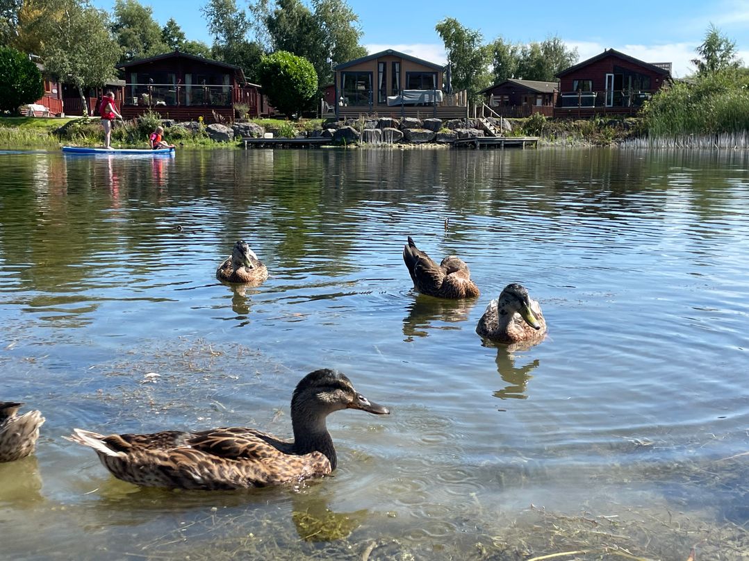Lakeside 18