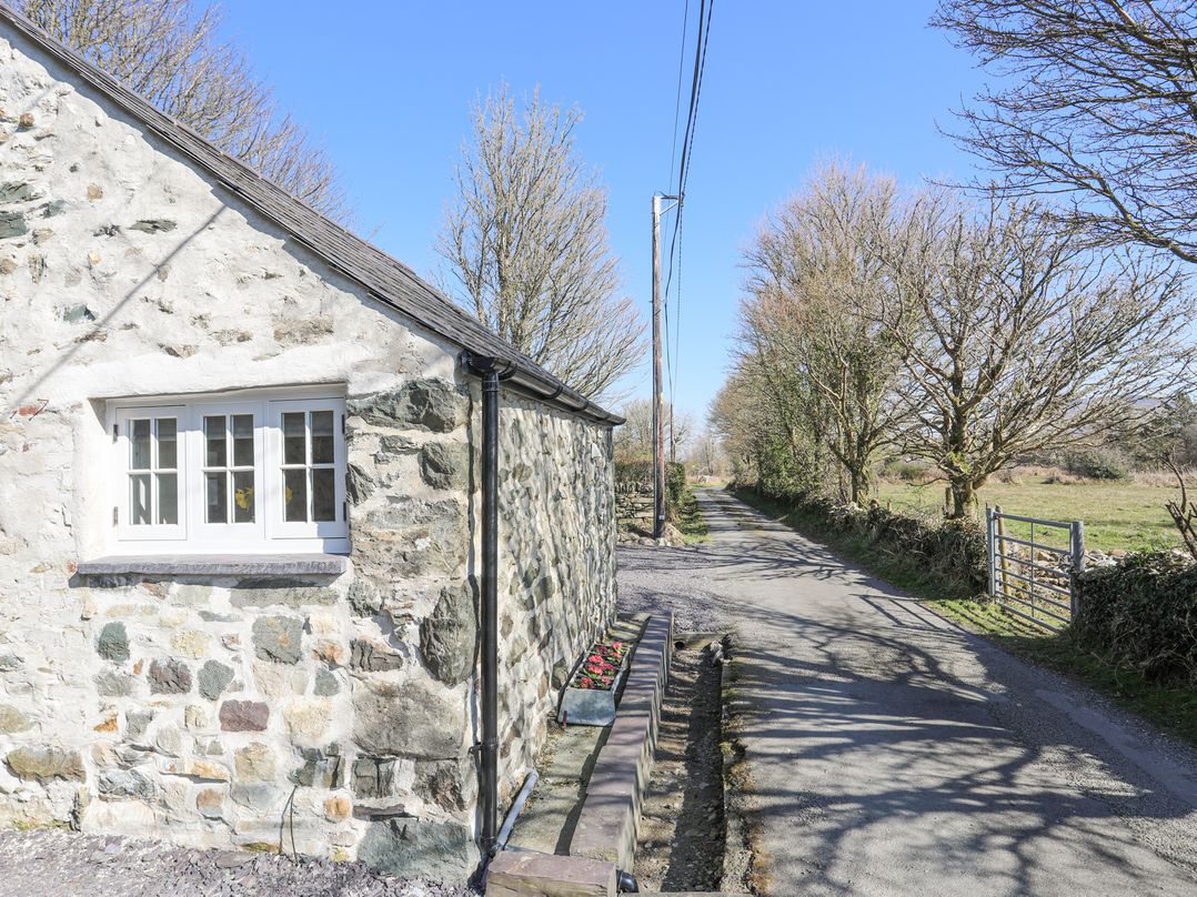 Cwt Mochyn