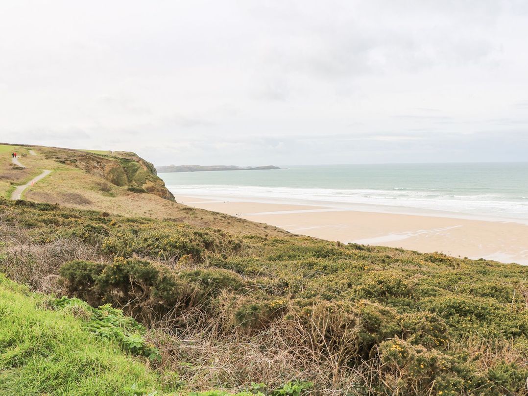 Coastman's Nest