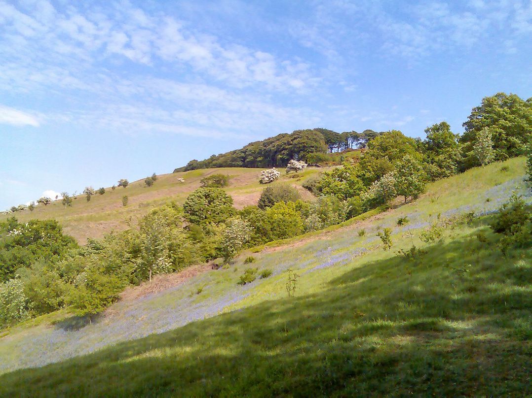 Myddelton Grange