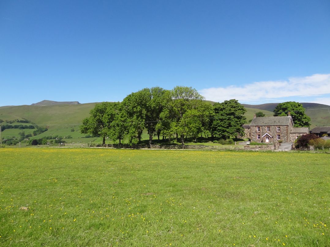 Grisdale View