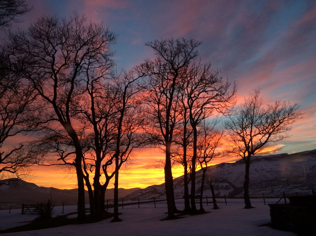 Grisdale View