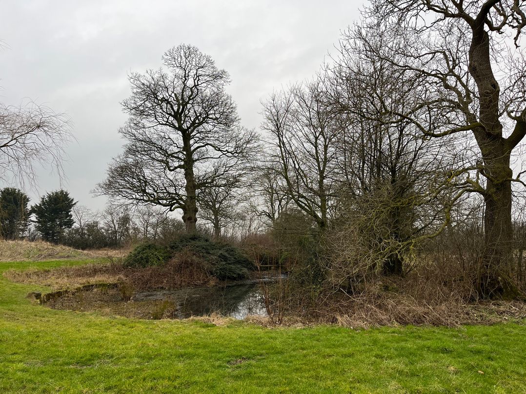 Hollymoor Hall Farm