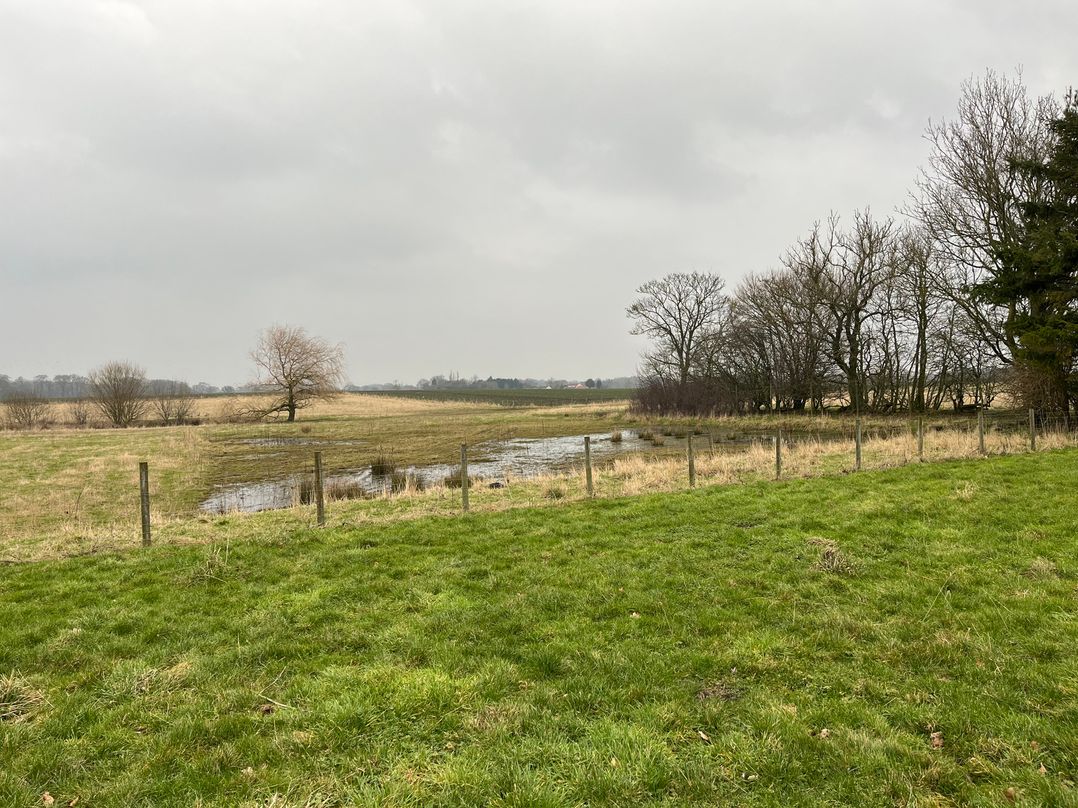 Hollymoor Hall Farm