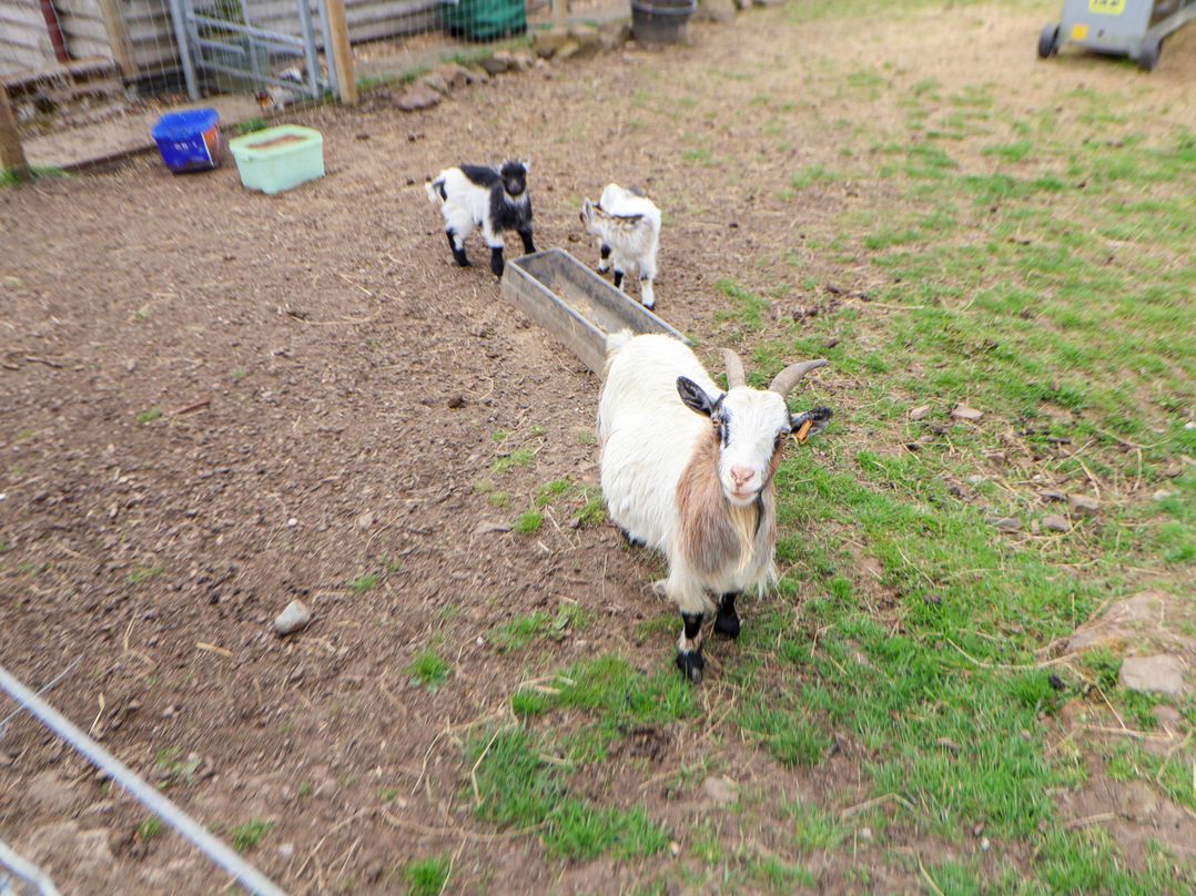 Sprinks Farm