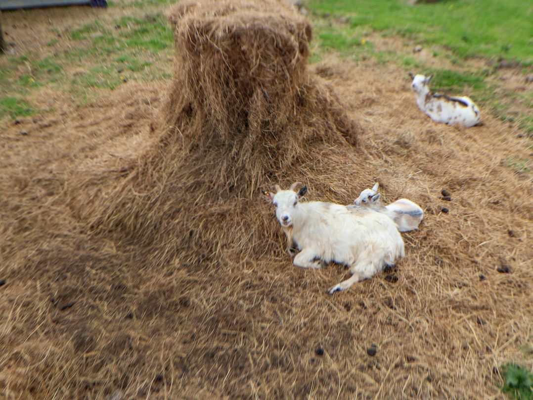 Sprinks Farm