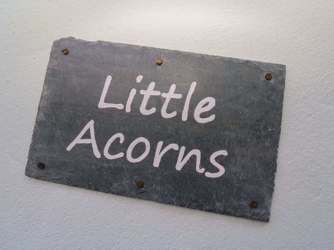 Little Acorns