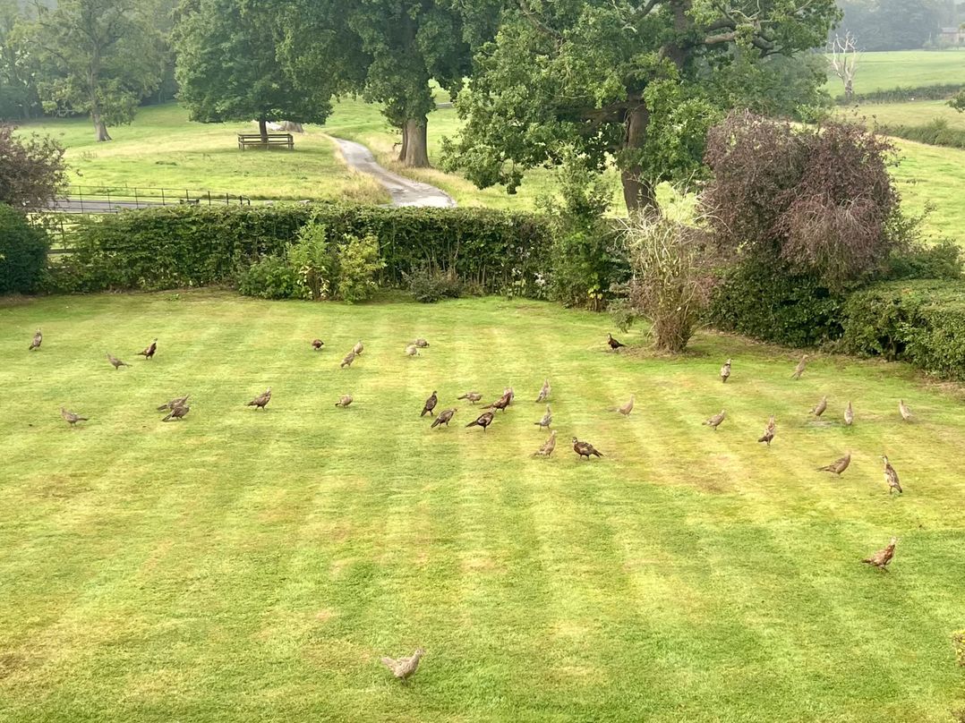 Higher Park Farm