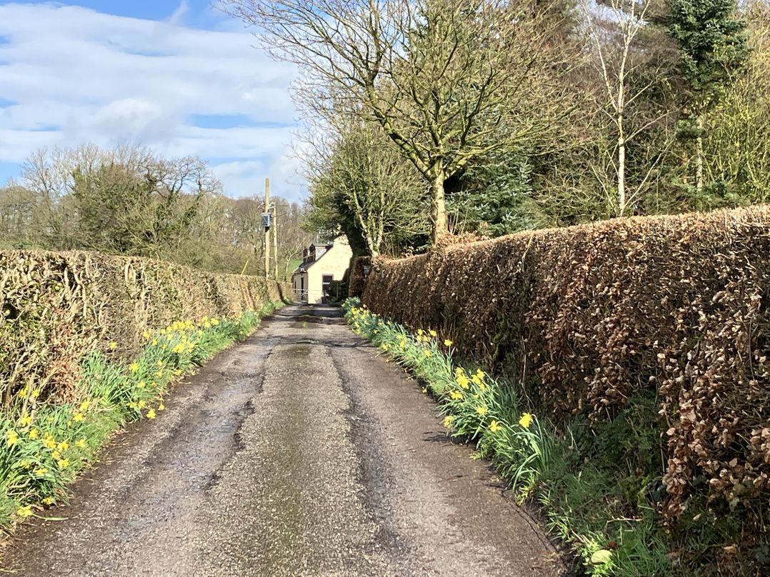 The Steading