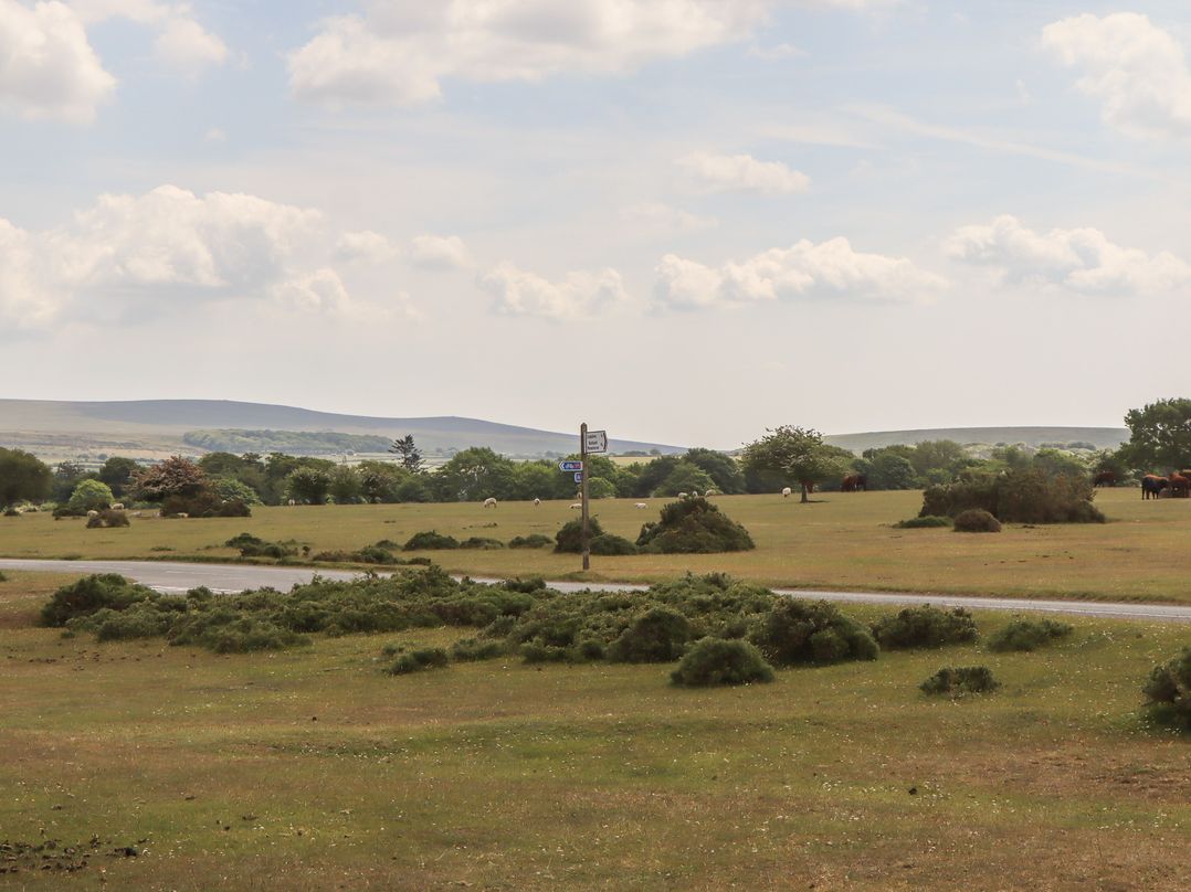 Dellcote
