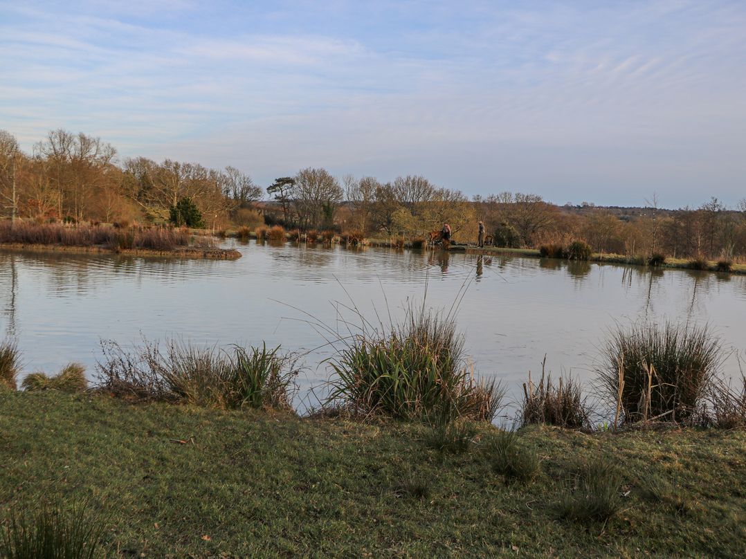 Tench Hut