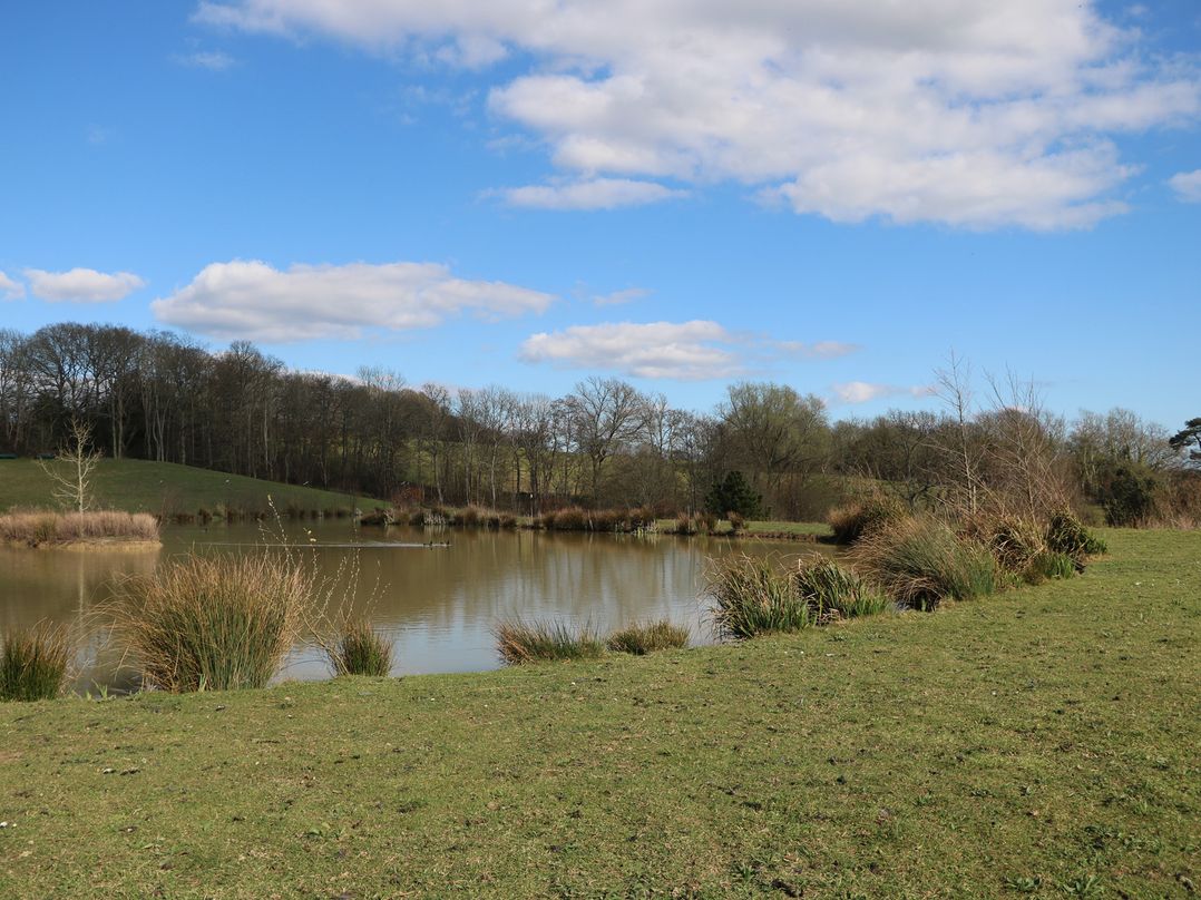 Tench Hut