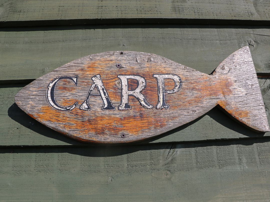 Carp Hut