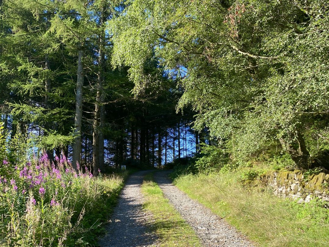 Cae'n Y Coed Cottage