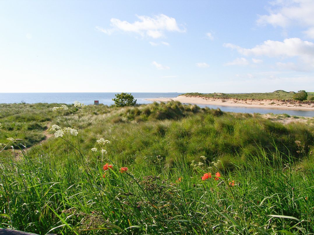 Seafield Granary