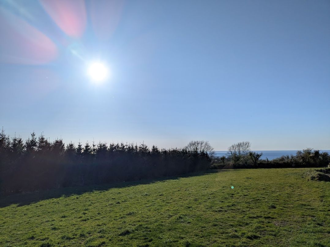 Fir Tree Shepherd's Hut
