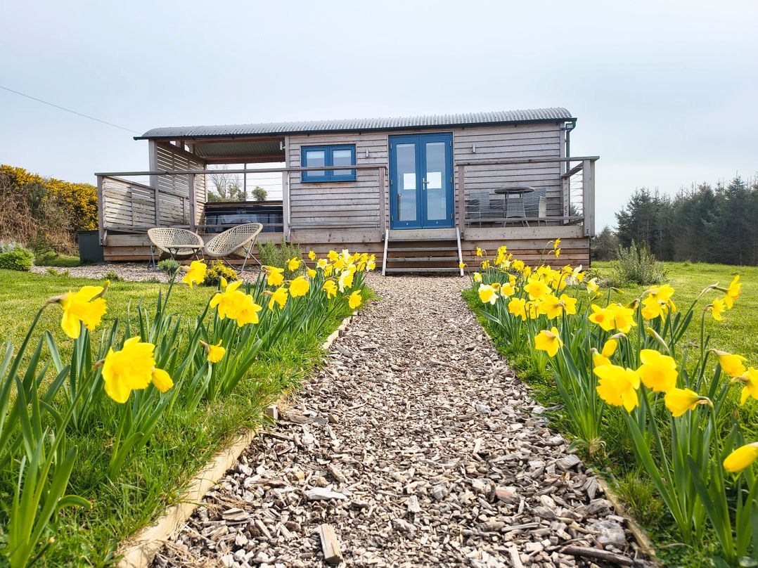 Fir Tree Shepherd's Hut