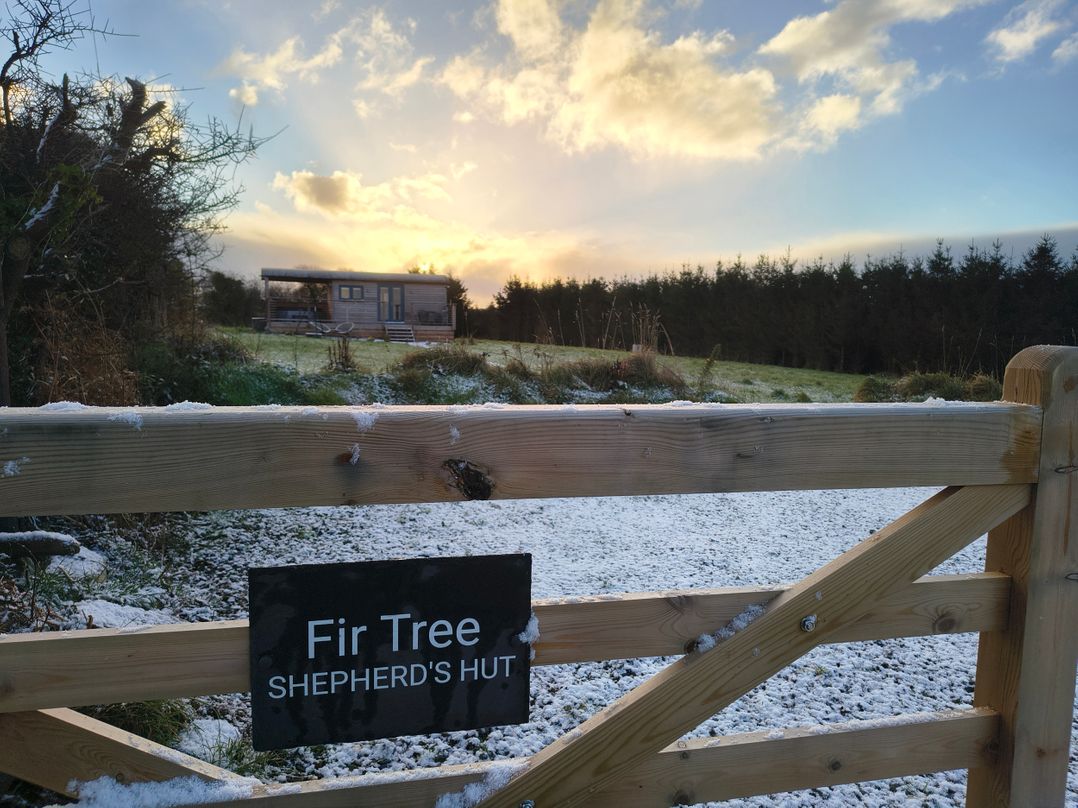 Fir Tree Shepherd's Hut