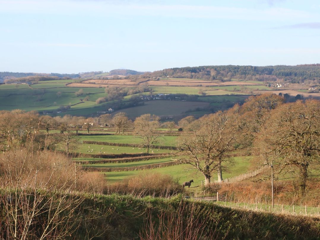 The Dairy at Wyke Farm