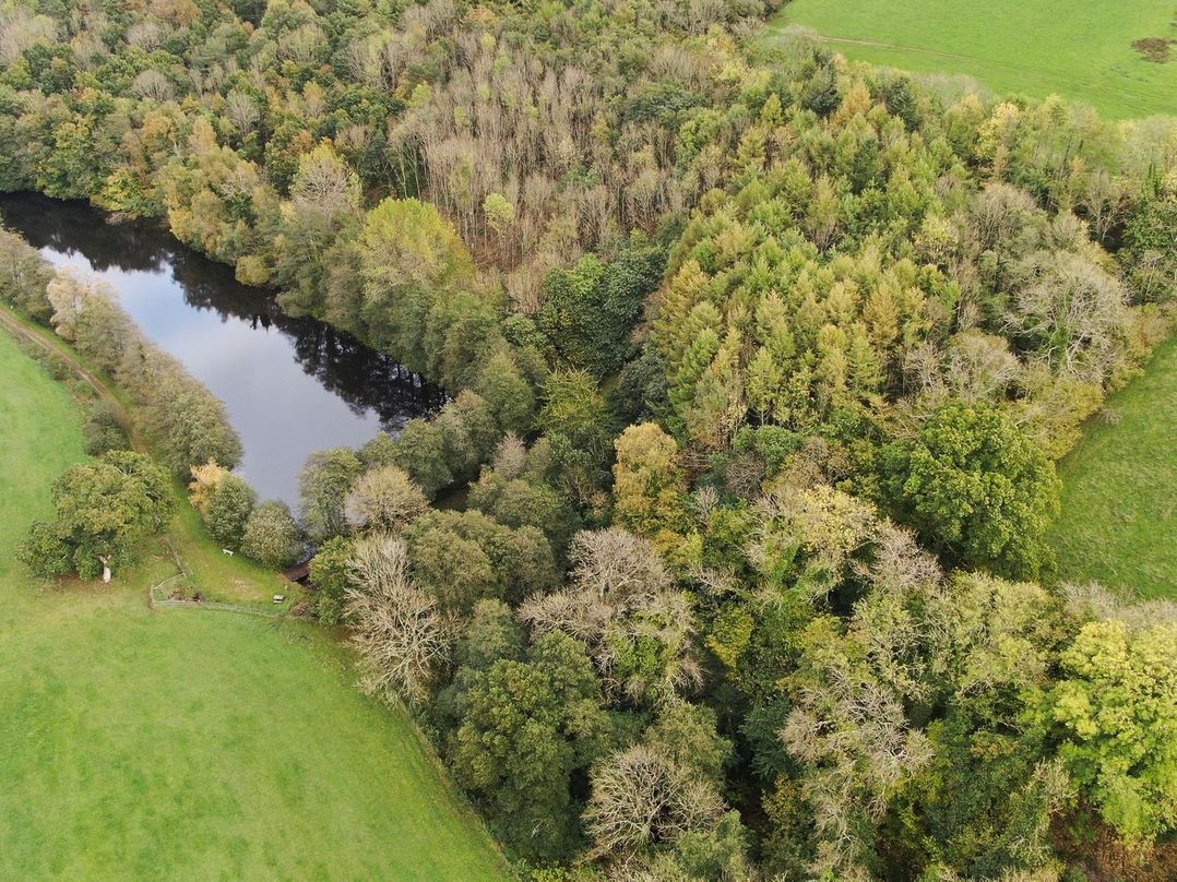 The Woodland Hideaway