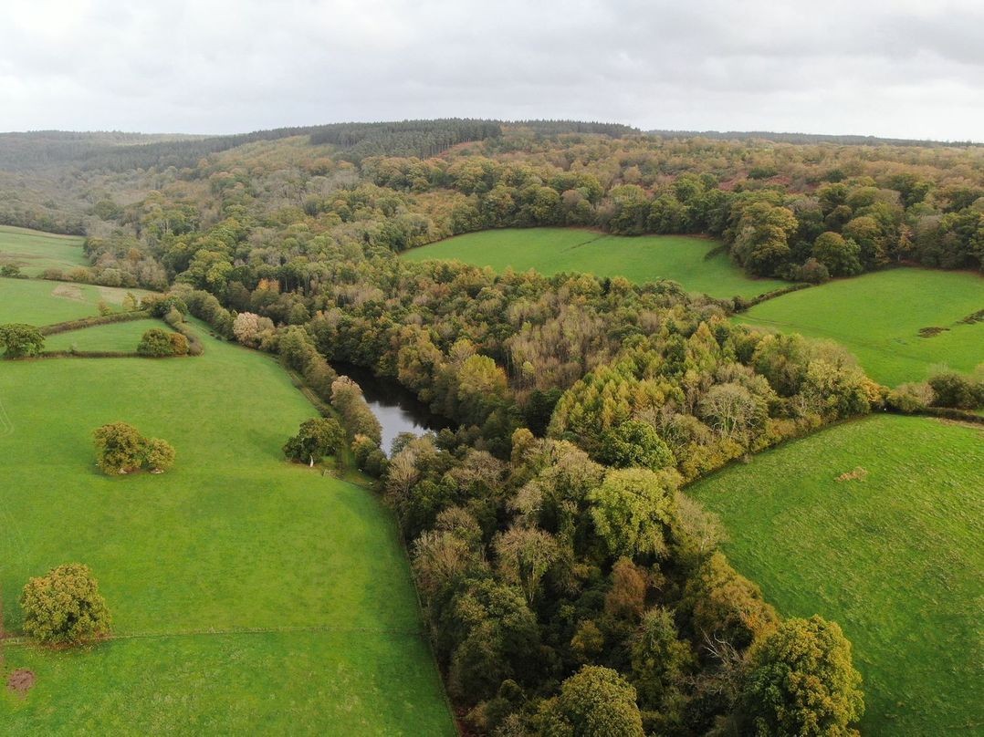 The Woodland Hideaway