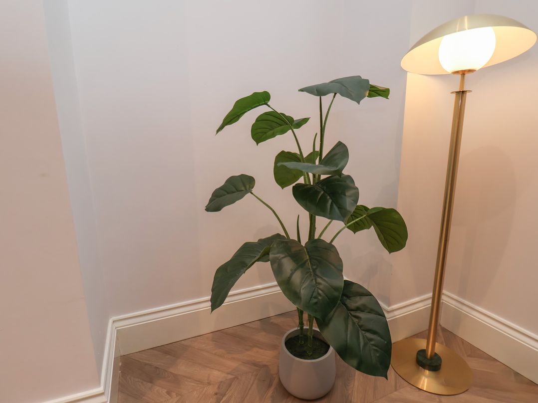 The Salisbury Apartment 103