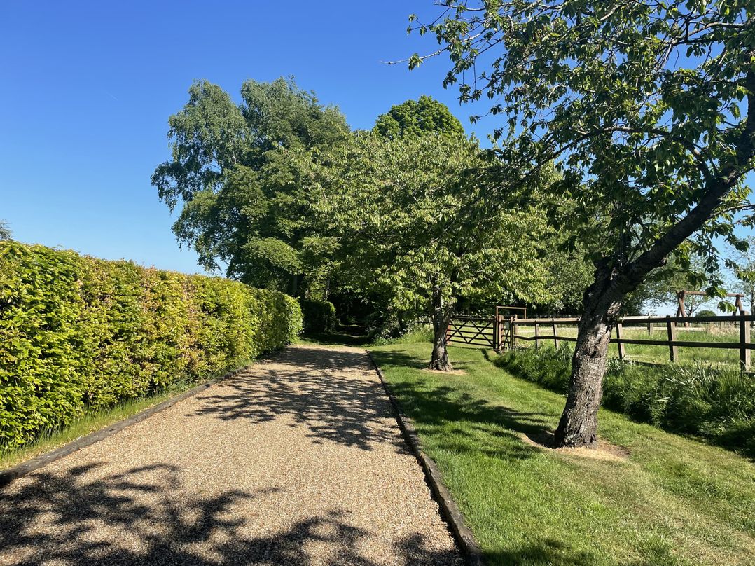 Beechwood