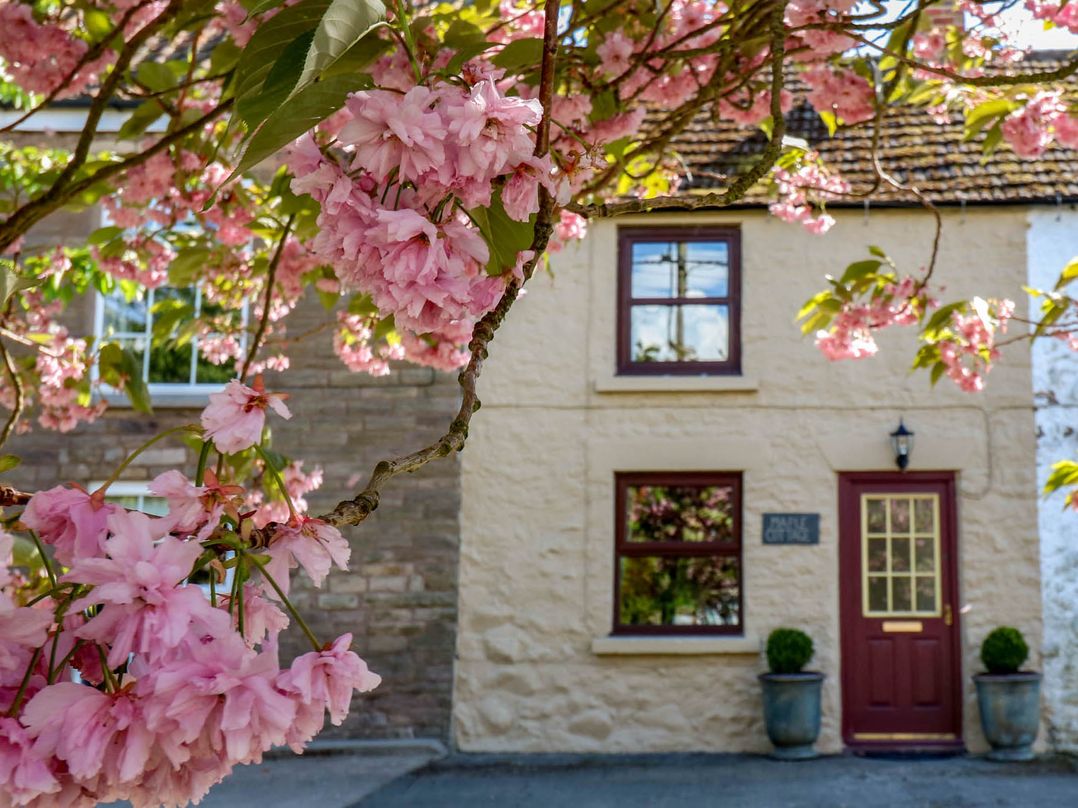 Maple Cottage