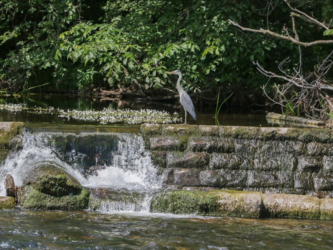 The Fellside Haven at Eamont Park