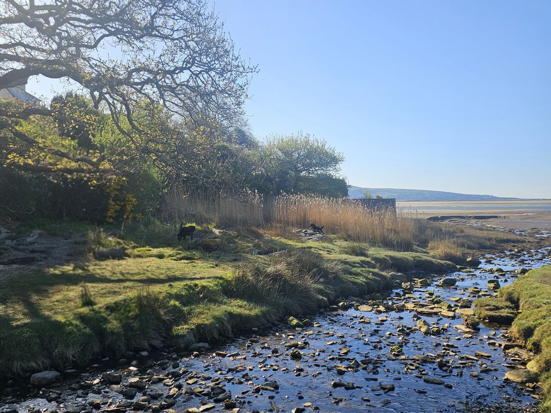 The Cottage On The Green