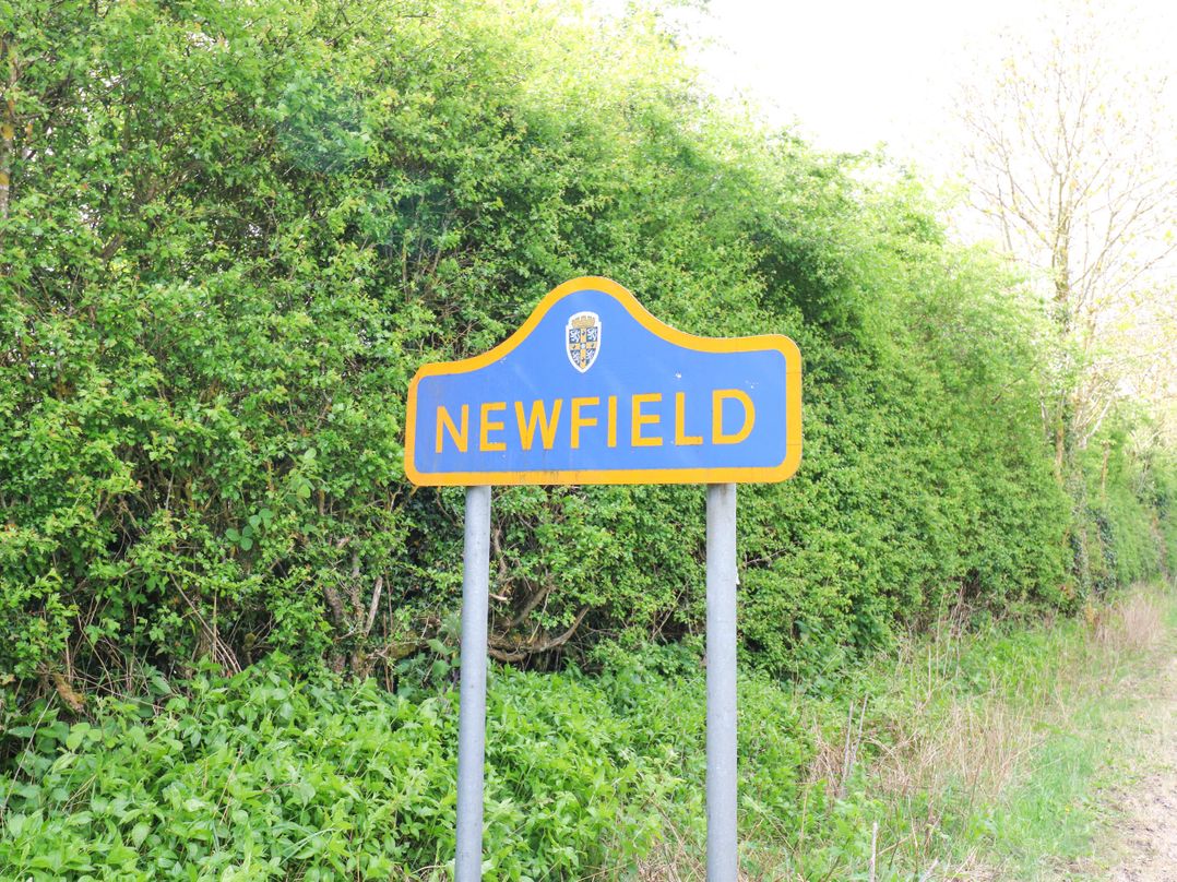 Newfield Apartment