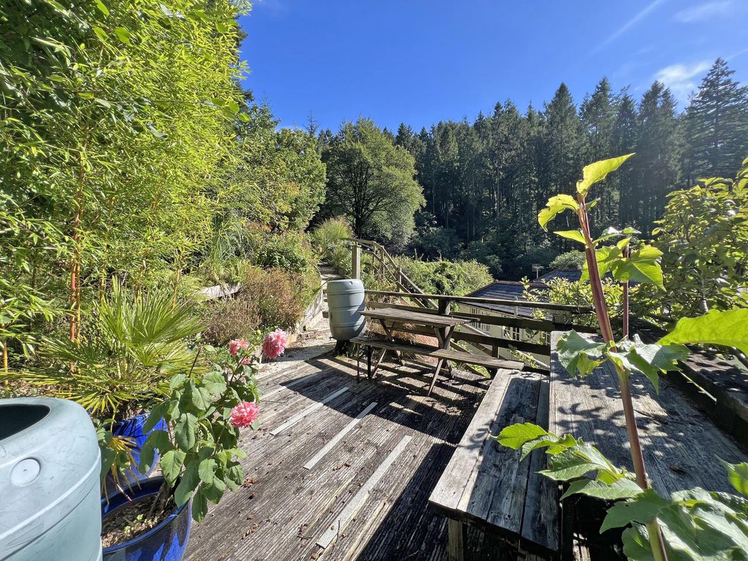 Lost In The Woods Lodge