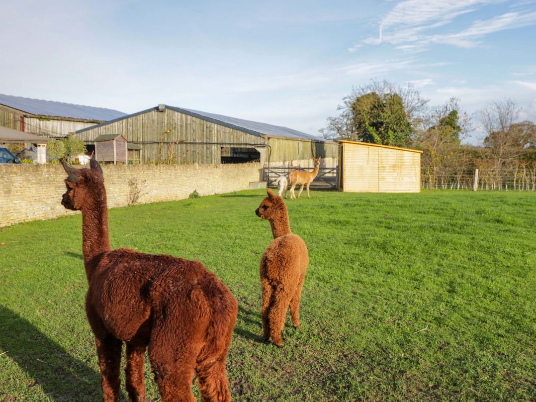 Wiltshire Weavers Hut