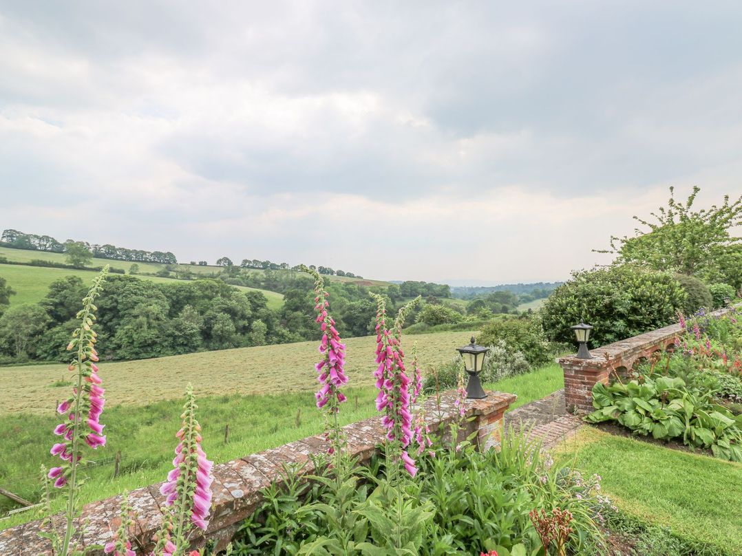 A Devon Den at Harcombe House