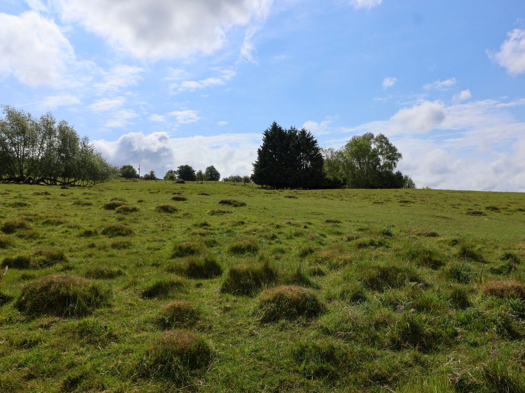 Hillside