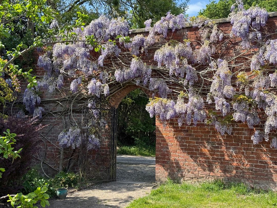 The Garden Hut