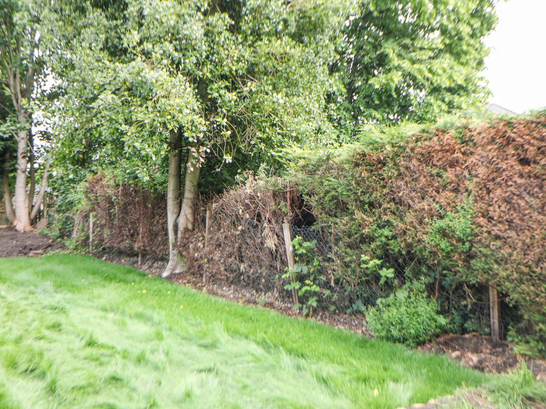 37 Berry Hill Lane