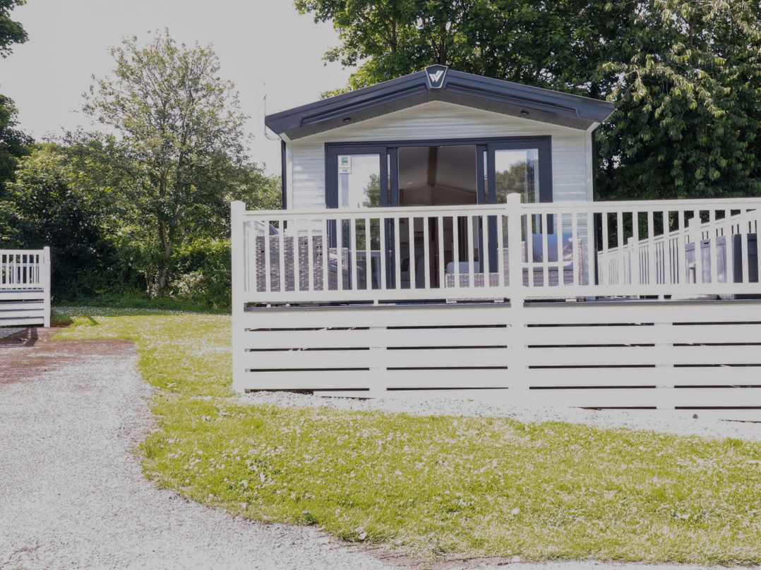 Meadow 46