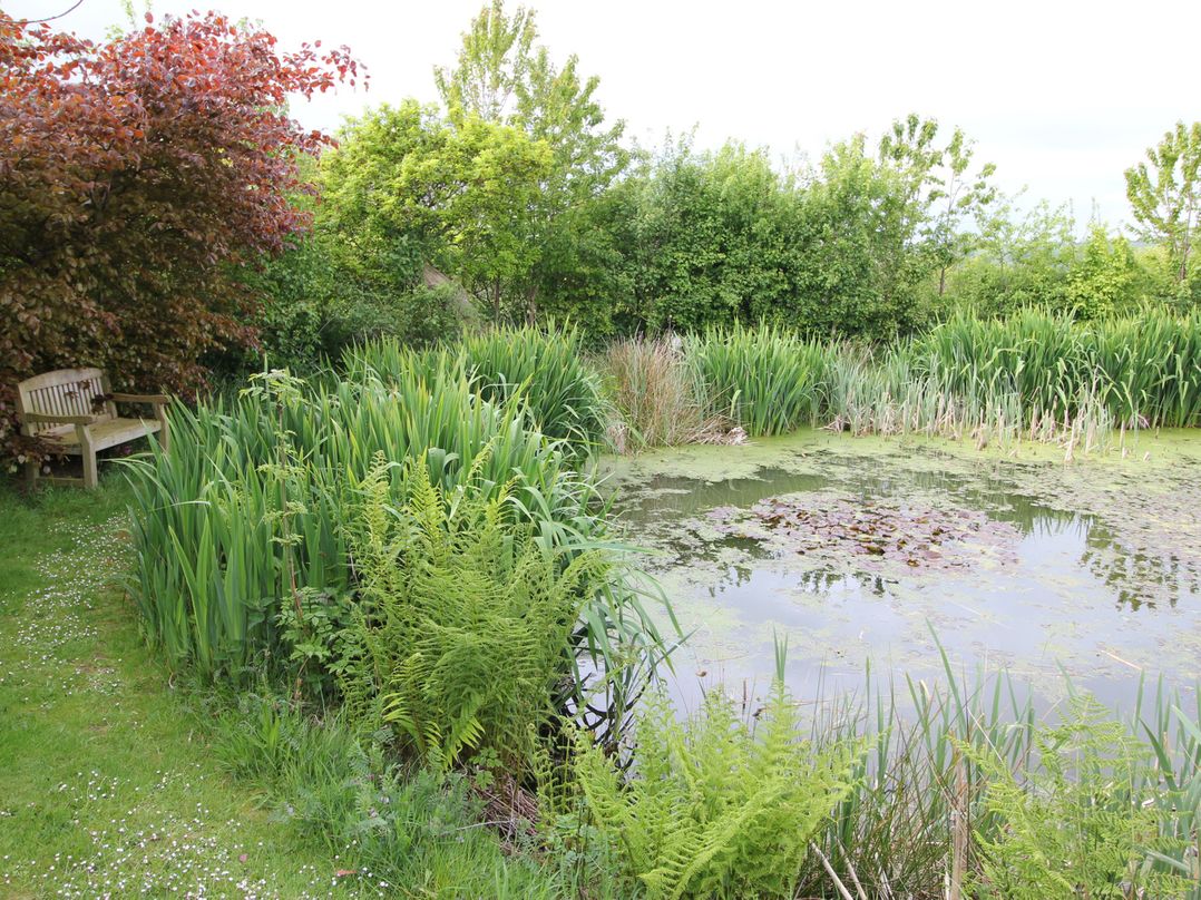 The Dovecote